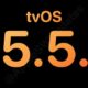 Apple tvOS 15.5.1 (19L580) has been released