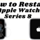 How to Restart your Apple Watch Series 8