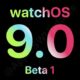 WatchOS 9.0 Beta 1 has been released